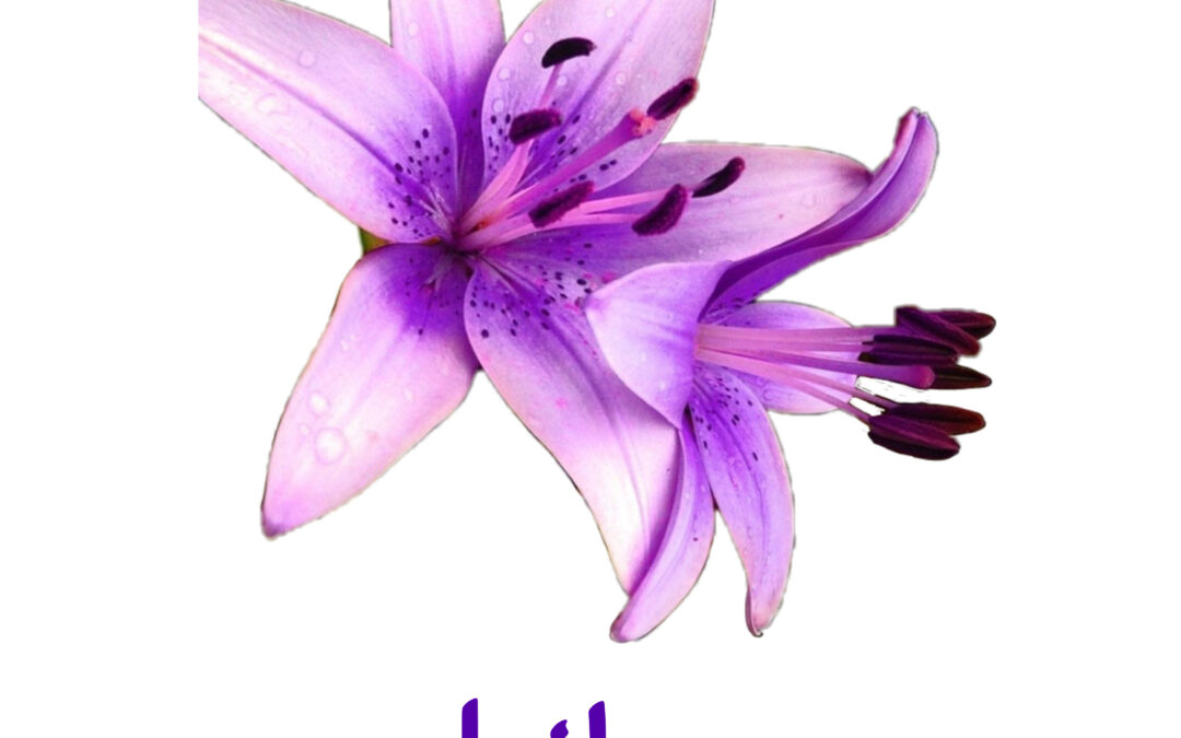 Lenormand Lily Meaning And Possible Interpretations